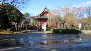 解体・修復を終えていますが、もう少し何とか…