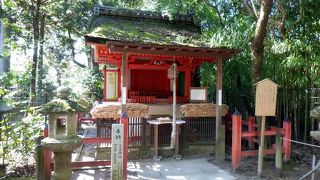 願い事は一つだけ