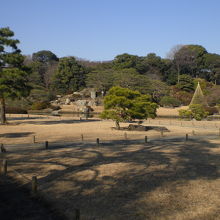 六義園の南側ですが、玉藻の磯は、芝生の先の岸部になります。
