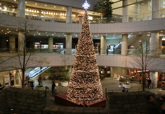 東京オペラシティのイルミネーション