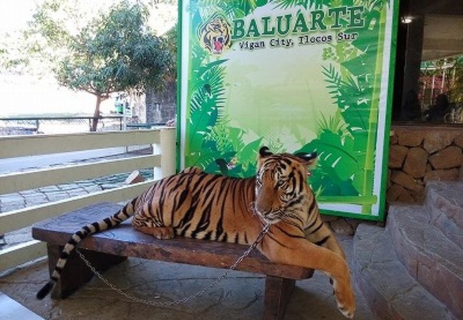 バルアルテ動物園