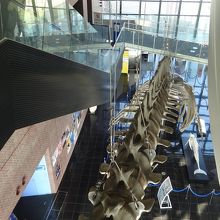 館内もすごいです。