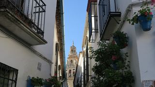 どうしてこの小径がこんなに有名なのか、理解できない小径です。