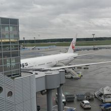 定刻よりも早く到着しました（さすがはＪＡＬ！）