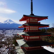 やまなし　外国人の見たい富士と五重塔の風景　新倉浅間（あさくらせんげん）神社　2015冬