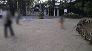 広い松林の敷地と建物