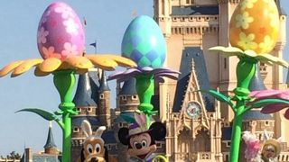 うさ耳に癒される