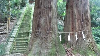 御嶽神社の社叢林