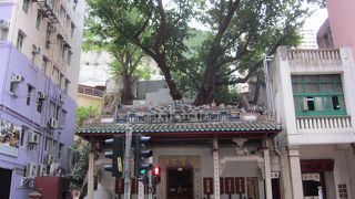 オーラのある建物で廟の上には樹木が生えています。