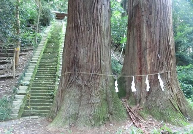 御嶽神社の社叢林