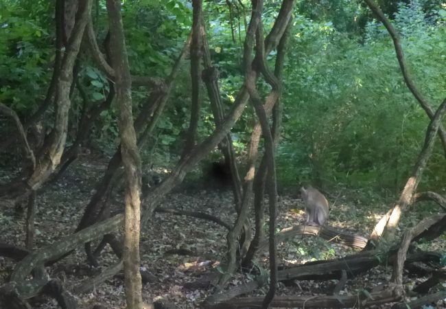 ナッチサハル国立公園