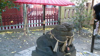 可愛い狛犬です