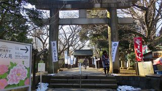 何故こんな無茶を…