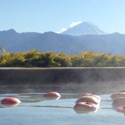 リンゴ湯に浸かり見事な富士山を「やまなしフルーツ温泉　ぷくぷく」～山梨市～