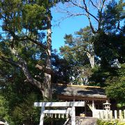 鳥羽城の神社