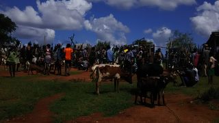 Dimeka cattle market