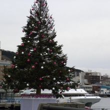 巨大ツリー（点灯前）