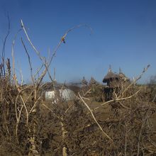 ダサネチ族の村