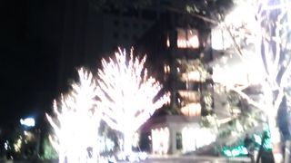 イルミネーションが綺麗でした