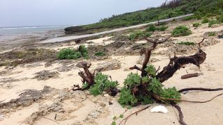 歩きでも回れるかも