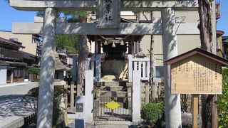 鳳凰台組秋葉社