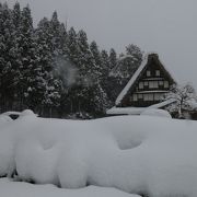 すごい雪でした