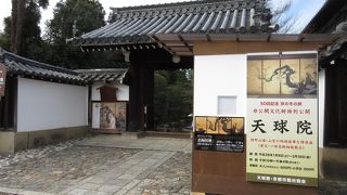 本物が観られる最後のチャンスです。