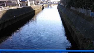 川の終わりは江ノ島