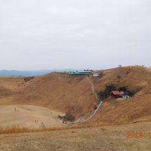 山頂はこんな感じ！