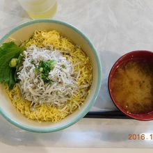 駿河しらす丼