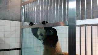 寒いので空いてました。