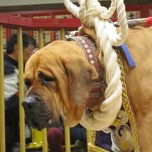 間違いなく怖い＜ かわいい