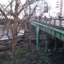 鋼鉄製の橋姿 (左手向こうが御茶ノ水駅)