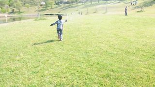 芝生で走り回れる