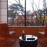 和洋室からの眺め