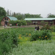 遠くの建物でヤギが飼育されている