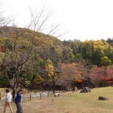 紅葉の時期でした。