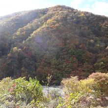 全山紅葉と言った趣です。