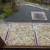 精進料理に使うのでしょうか…