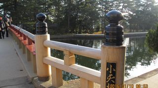 動いているのを見てみたい