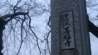 青梅街道近くの曹洞宗のお寺