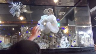 レストラン ジョーガー