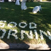 庭には落ちた花でこんな文字が。嬉しくなります