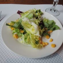 美味しかった野菜サラダ