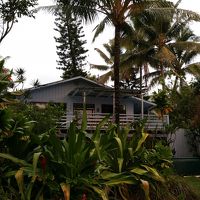 グリーンに囲まれて