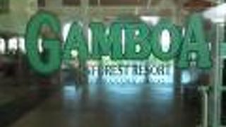 Gamboa Rainforest Resort