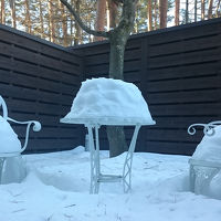 ベランダと楽林