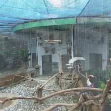 インコが飼育されている鳥小屋