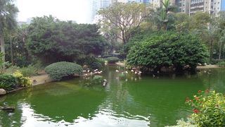 九龍の憩いのスポット