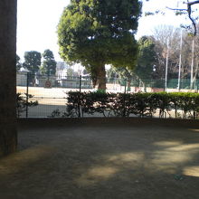 六義公園の西の様子です。西側には、運動施設が連接してあります